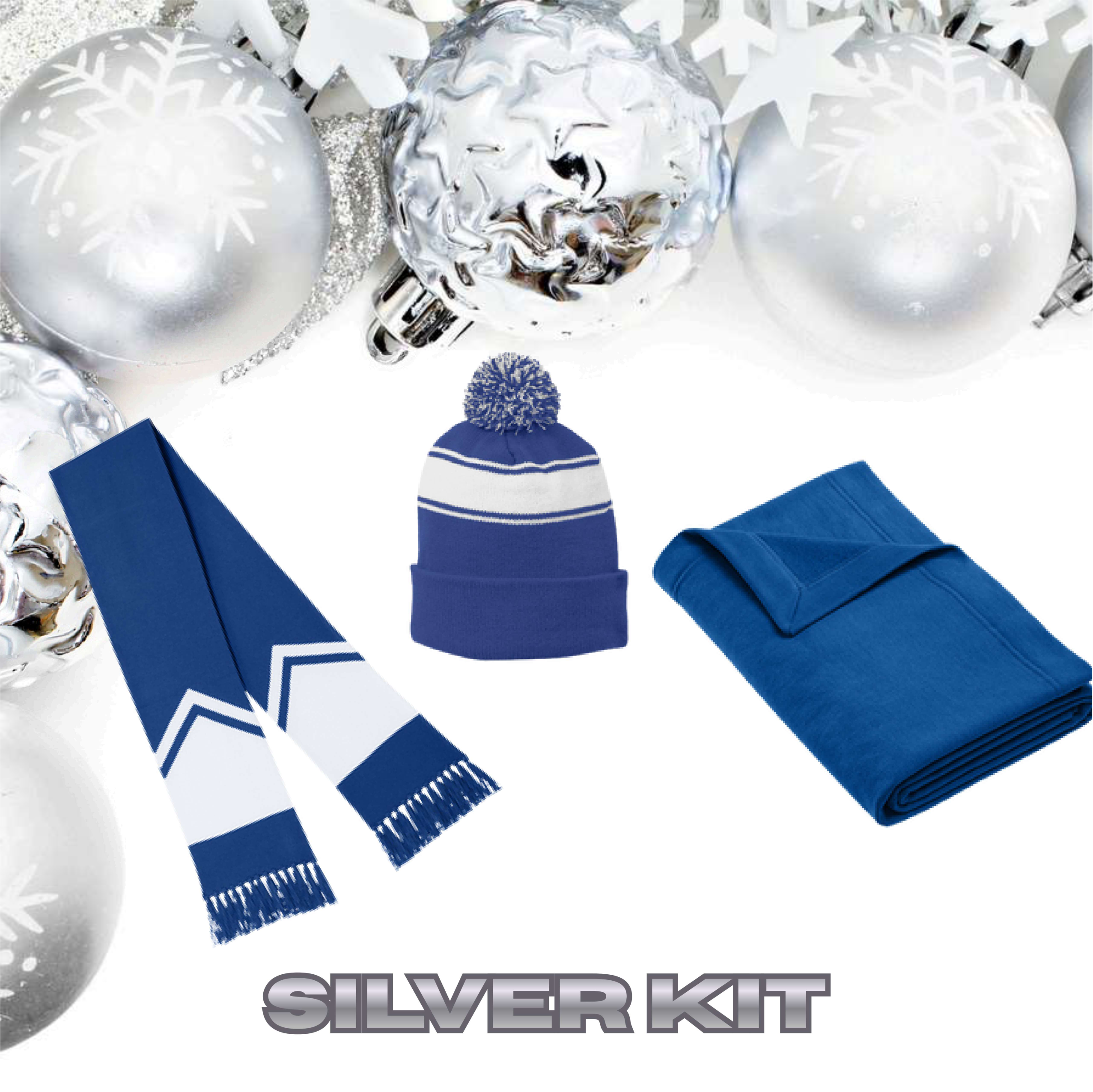 Customer or Employee Appreciation SILVER Kit